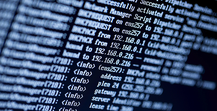 Security Vulnerability Assessments